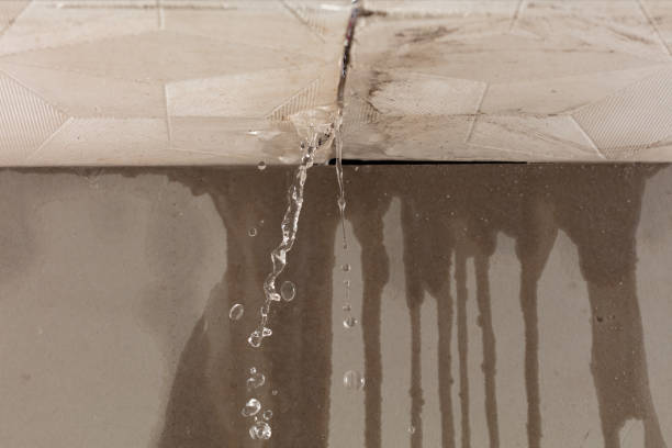 Professional Water Damage Repair technician working in Pledger, TX